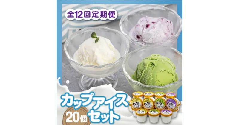 【ふるさと納税】【全12回定期便】ミルク工房 カップアイスセット（130ml×20個）《喜茂別町》【ニセコリゾート観光協会】 アイス アイスクリーム ジェラート ミルク 抹茶 ブルーベリー 冷凍 冷凍配送 北海道 [AJAI062] 240000 240000円 24万円