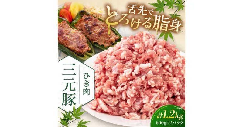 【ふるさと納税】三元豚 ひき肉1.2kg（600g×2パック）《喜茂別町》【平田牧場】 肉 豚肉 ミンチ 豚ミンチ 餃子 つくね 冷凍配送 北海道 [AJAP077]