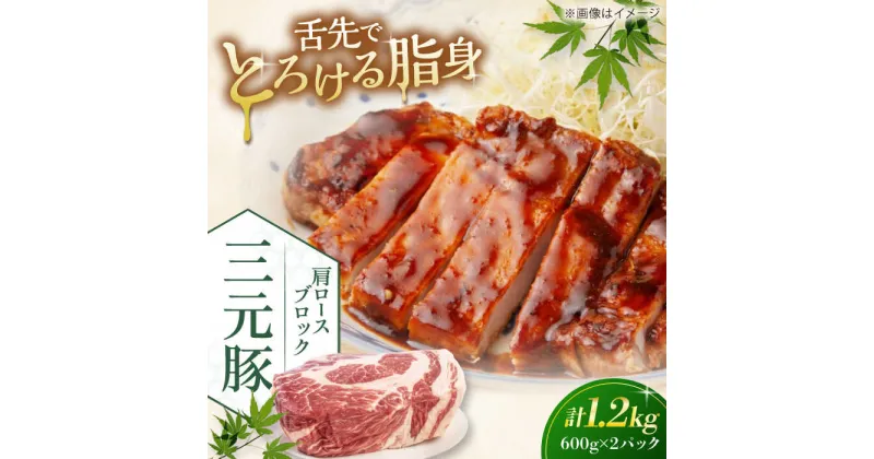 【ふるさと納税】三元豚 肩ロースブロック1.2kg（600g×2パック）《喜茂別町》【平田牧場】 肉 豚肉 ロース ブロック ローストポーク 煮豚 酢豚 煮物 冷凍配送 北海道 [AJAP075]