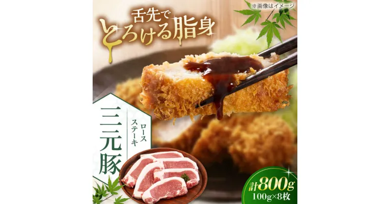 【ふるさと納税】三元豚 ロースステーキ 8枚（100g/枚） 藻塩ナシ 《喜茂別町》【平田牧場】肉 豚肉 ロース ステーキ ステーキ用 とんかつ トンテキ 生姜焼き 冷蔵配送 北海道 [AJAP069]