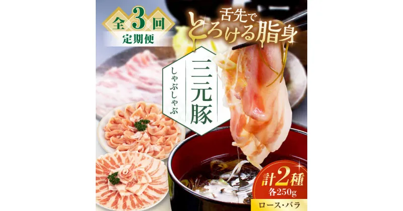 【ふるさと納税】【全3回定期便】三元豚 しゃぶしゃぶセット 計500g（ロース・バラ） だし・昆布ナシ 《喜茂別町》【平田牧場】 肉 豚肉 ロース バラ ロース肉 バラ肉 しゃぶしゃぶ 鍋 お鍋 冷凍配送 北海道 [AJAP079]