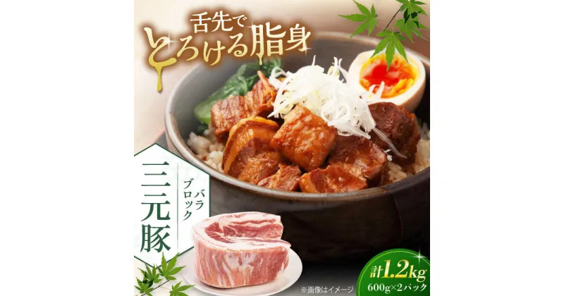 【ふるさと納税】三元豚 バラブロック1.2kg（600g×2パック）《喜茂別町》【平田牧場】 肉 豚肉 バラ ブロック 煮豚 酢豚 煮物 冷凍配送 北海道 [AJAP073]