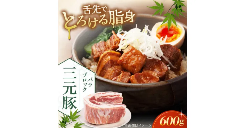 【ふるさと納税】三元豚 バラブロック600g《喜茂別町》【平田牧場】 肉 豚肉 バラ ブロック 煮豚 酢豚 煮物 冷凍配送 北海道 [AJAP072]