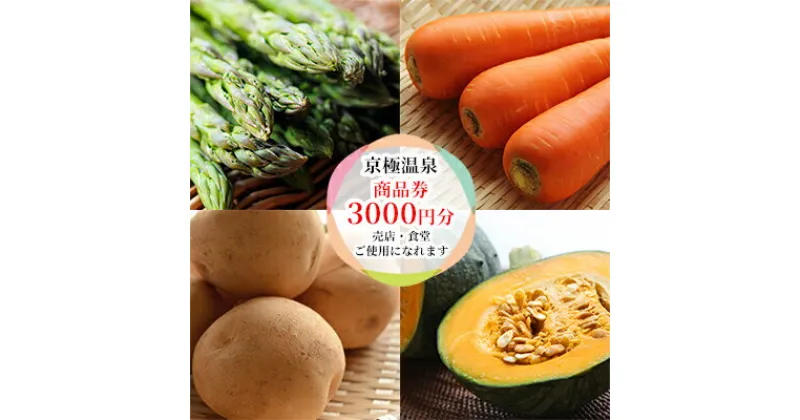 【ふるさと納税】【京極温泉】商品券3,000円分（施設内 売店・食堂）　お食事券・チケット