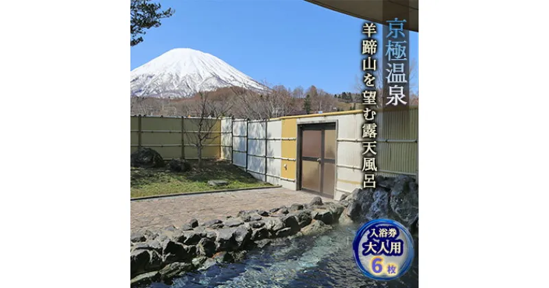 【ふるさと納税】【京極温泉】入浴回数券 大人用（6枚綴り）　チケット・温泉利用券・レジャー