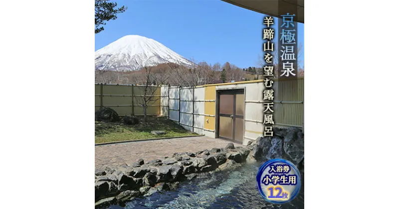 【ふるさと納税】【京極温泉】入浴回数券 小学生用（12枚綴り）　チケット・温泉利用券