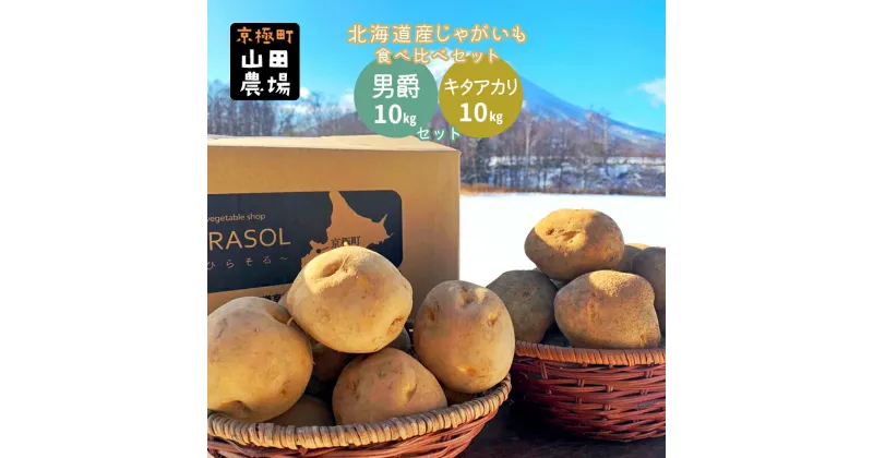 【ふるさと納税】北海道産じゃがいも〈男爵〉10kg・〈キタアカリ〉10kg食べ比べセット［京極町］じゃがいも 男爵 キタアカリ 野菜 10kg セット 食べ比べ 料理　野菜・じゃがいも・ジャガイモ・男爵・キタアカリ・食べ比べ　お届け：2024年9月下旬～2025年3月下旬