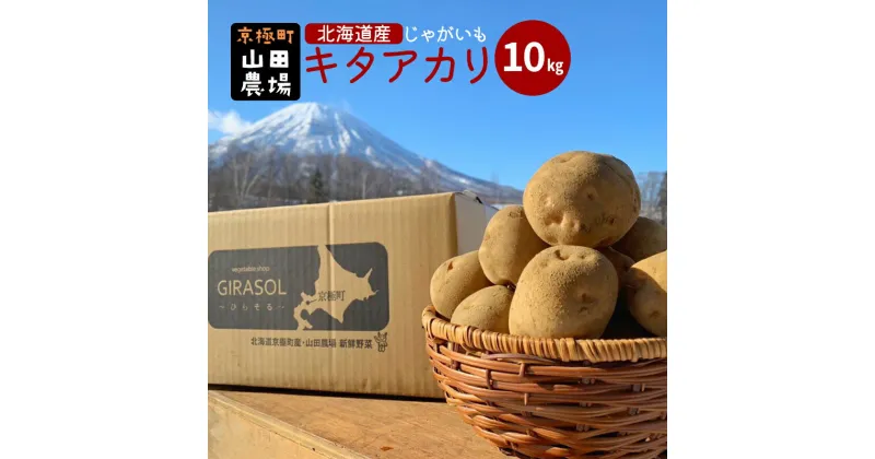 【ふるさと納税】北海道産じゃがいも〈キタアカリ〉10kg［京極町］ 野菜 キタアカリ じゃがいも 北海道 10kg 料理　 北海道のジャガイモ 甘みが強い 生産者直送 　お届け：2024年9月下旬～2025年3月下旬