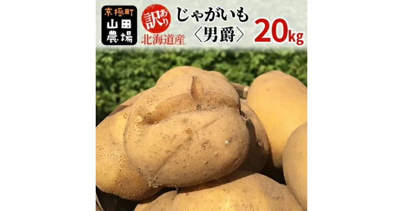 【ふるさと納税】訳あり 北海道産じゃがいも〈男爵〉20kg［京極町］ 野菜 男爵 じゃがいも 20kg 北海道 料理　 北海道のジャガイモ ホクホク 生産者直送 　お届け：2024年10月～2025年3月下旬