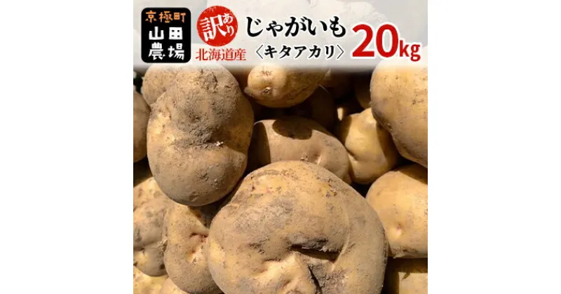 【ふるさと納税】訳あり 北海道産じゃがいも〈キタアカリ〉20kg［京極町］ 野菜 キタアカリ じゃがいも 北海道 20kg 料理　 北海道のジャガイモ 甘みが強い 生産者直送 　お届け：2024年10月～2025年3月下旬