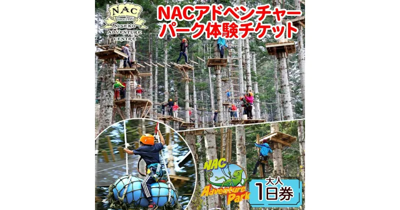 【ふるさと納税】NACアドベンチャーパーク大人1日券　体験チケット