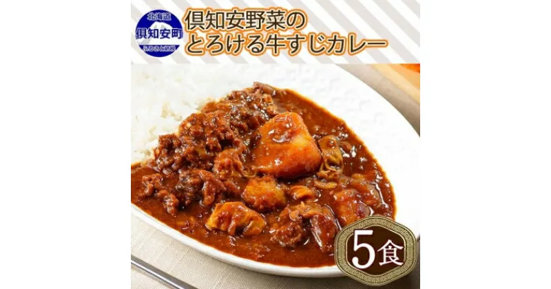 【ふるさと納税】倶知安 牛すじカレー 北海道 計5個 中辛 レトルト食品 加工品 牛すじ 牛肉 野菜 じゃがいも お取り寄せ グルメ スパイシー スパイス 【お肉・牛肉・加工食品】　倶知安町