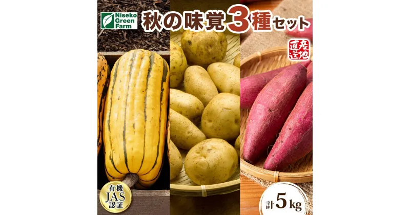 【ふるさと納税】北海道 オーガニック 秋の味覚 かぼちゃじゃがいも さつまいも 約5kg デリカタ カボチャ キタアカリ 馬鈴薯 ポテト 有機野菜 JAS 産直 産地直送　野菜　お届け：2024年9月中旬～10月末まで