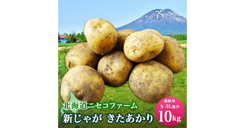 【ふるさと納税】北海道産 じゃがいも きたあかり 10kg 規格外 訳あり S-3L サイズ混合 新じゃが 芋 ジャガイモ 野菜 農作物 お取り寄せ キタアカリ 馬鈴薯 ニセコファーム 送料無料 北海道 倶知安町　 野菜 新じゃが 　お届け：2024年10月中旬～11月中旬