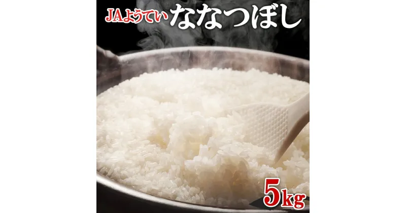 【ふるさと納税】北海道産 ななつぼし 精米 5kg お米 米 特A 白米 ブランド米 ご飯 ごはん おにぎり 主食 産直ギフト備蓄 JAようてい 送料無料 北海道 倶知安町　 お弁当 和食 主食 直送 産地直送 　お届け：2024年10月下旬～2025年2月下旬まで