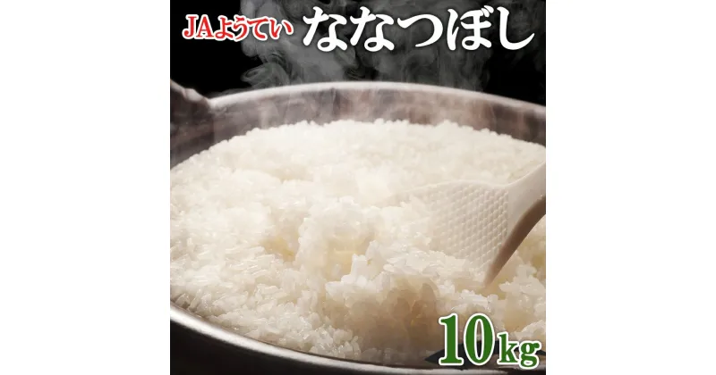 【ふるさと納税】北海道産 ななつぼし 精米 5kg×2袋 計10kg お米 米 特A 白米 ブランド米 ご飯 ごはん おにぎり主食 産直 ギフト 備蓄 JAようてい 送料無料 北海道 倶知安町　 お弁当 和食 主食 直送 産地直送 　お届け：2024年10月下旬～2025年2月下旬まで