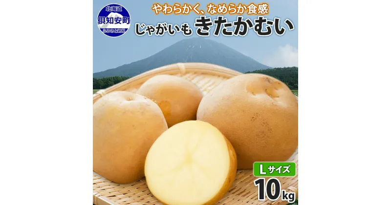 【ふるさと納税】北海道産 じゃがいも きたかむい Lサイズ 10kg 馬鈴薯 キタカムイ ジャガイモ ポテト 芋 いも 旬 イモ 野菜 農作物 産地直送 産直 常温 北海道 お取り寄せ 送料無料 倶知安町　 羊蹄山 健康 肉じゃが 　お届け：2024年11月上旬～12月上旬