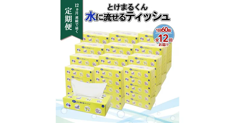 【ふるさと納税】北海道 定期便 12ヶ月連続 とけまるくん 水に流せる ティッシュ 150組 計60箱 ティッシュペーパー ボックス リサイクル 日本製 日用品 消耗品 備蓄 育児 福祉 ペット キャンプ 送料無料　定期便・ 倶知安町 　お届け：12ヶ月連続