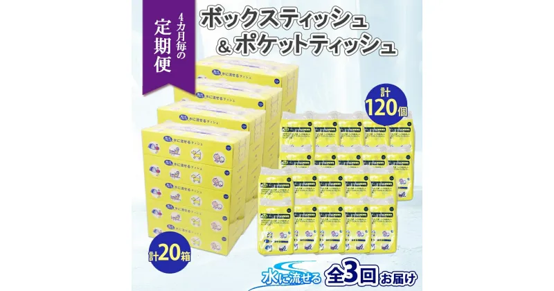 【ふるさと納税】北海道 定期便 4ヶ月毎全3回 とけまるくん ボックス ティッシュ 20箱 ポケット 120個 水に流せる ペーパーリサイクル エコ 香りなし 厚手 日用品 雑貨 常備 備蓄 ストック 送料無料　定期便・ 倶知安町 　お届け：4ヶ月毎全3回