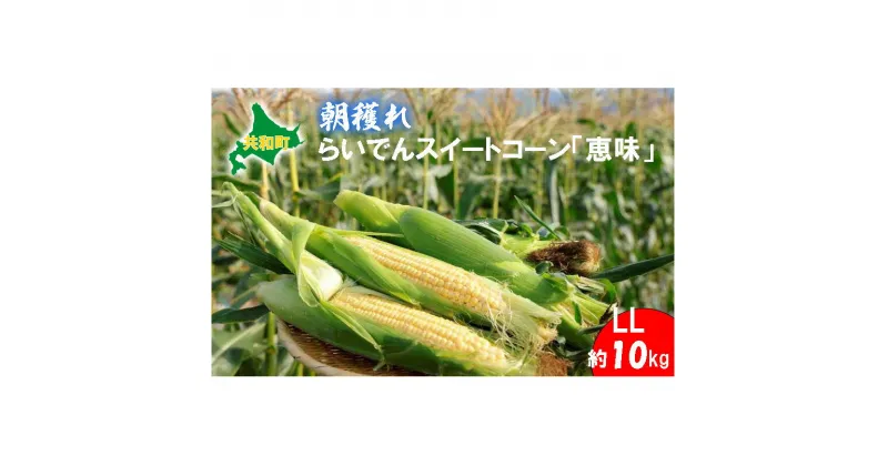 【ふるさと納税】とうもろこし らいでん スイートコーン 恵味 LL規格 約10kg 北海道　 トウモロコシ コーン 野菜 産地直送 旬の野菜 新鮮野菜 北海道産 　お届け：2025年7月下旬～8月上旬迄