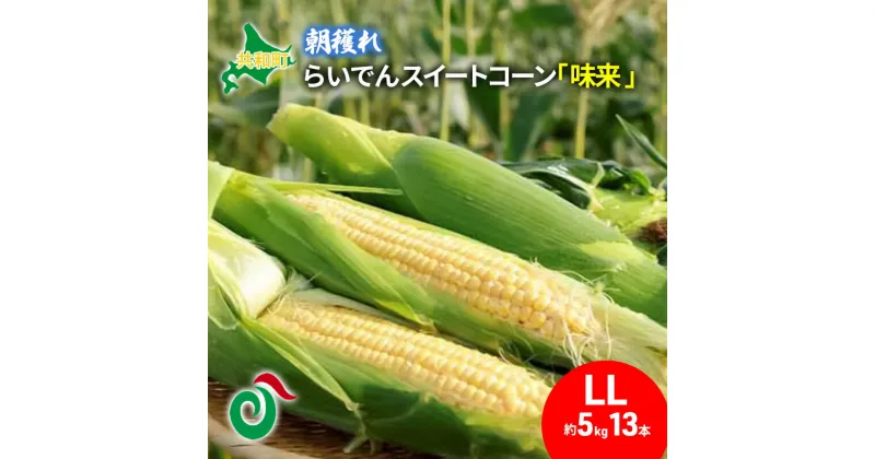 【ふるさと納税】らいでん スイートコーン 「味来」LL規格 約5kg 13本　共和町　お届け：2025年7月中旬～7月末頃まで