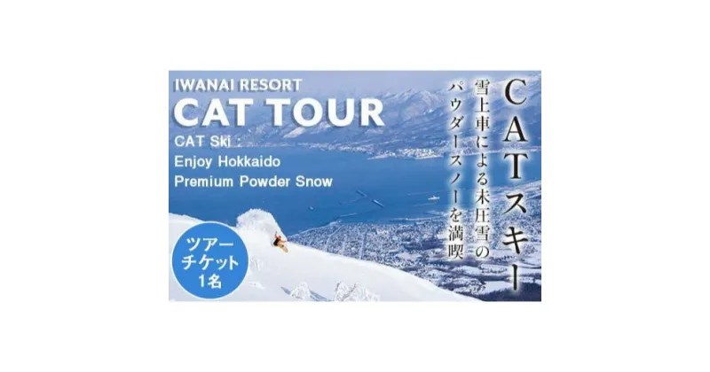 【ふるさと納税】IWANAI RESORT【Cat tour】ticket 1名様 キャットツアー スキー スノーボート スノボー ウインタースポーツ アウトドア リゾート F21H-356