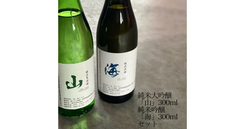 【ふるさと納税】純米大吟醸「山」300ml・純米吟醸「海」300mlセット F21H-378 日本酒 アルコール お酒 晩酌 詰め合わせ 飲み比べ