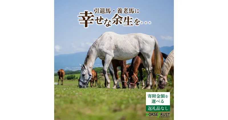 【ふるさと納税】【選べる寄附額】馬支援 競走馬 引退後 余生支援 養老馬 牧場 動物愛護 北海道 ホーストラスト北海道 支援 競馬 （返礼品なし） F21H-556var