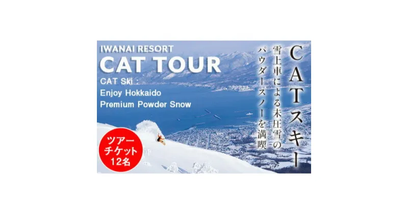 【ふるさと納税】 【先行予約】IWANAI RESORT【Cat tour】ticket 1台貸切（ 12名様 まで） F21H-418