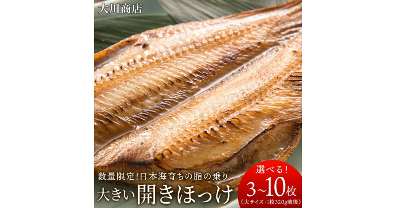 【ふるさと納税】 大きい開きほっけ 選べる3枚～10枚セット＜大川商店＞北海道ふるさと納税 積丹町 ふるさと納税 海鮮 北海道 ほっけ 開き ホッケ 北海道産 真ホッケ 魚 法華