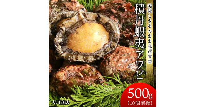 【ふるさと納税】 ☆美味しさそのまま急速冷凍！☆積丹蝦夷アワビ500g＜大川商店＞北海道ふるさと納税 積丹町 ふるさと納税 海鮮 北海道 蝦夷 鮑 あわび アワビ 天然 冷凍 刺身 高級海鮮 海鮮 おせち