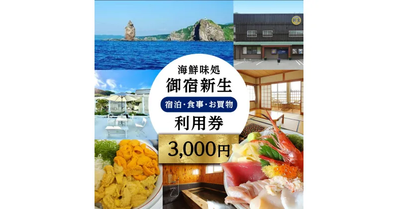 【ふるさと納税】海鮮味処御宿新生 利用券 3,000円分 北海道ふるさと納税 積丹町 ふるさと納税 お食事券 チケット 食事 宿泊 利用券 クーポン