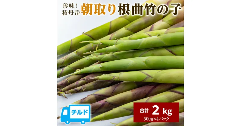 【ふるさと納税】珍味積丹岳根曲竹の子2kg（500g×4パック）北海道ふるさと納税 積丹町 ふるさと納税 北海道 山菜 根曲がり竹 北海道産 タケノコ 筍 竹の子