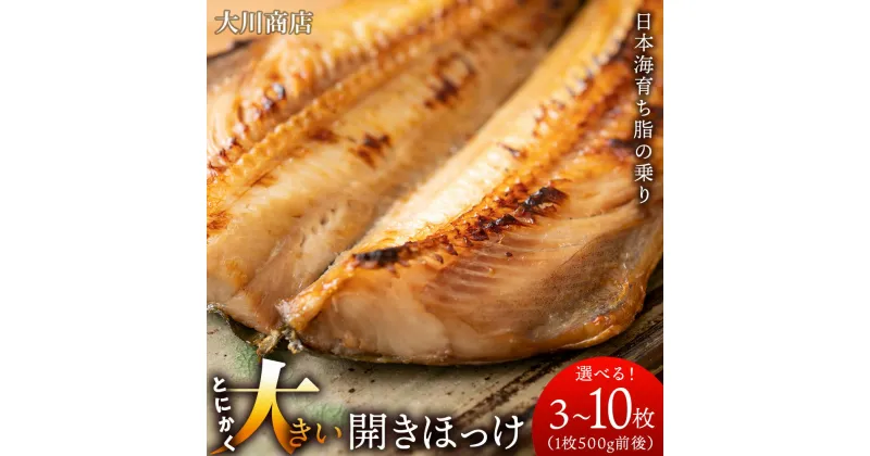 【ふるさと納税】とにかく大きい開きほっけ　選べる3枚～10枚 （1枚500g前後） ＜大川商店＞北海道ふるさと納税 積丹町 ふるさと納税 海鮮 北海道 ほっけ 開き ホッケ 北海道産 真ホッケ 魚 法華