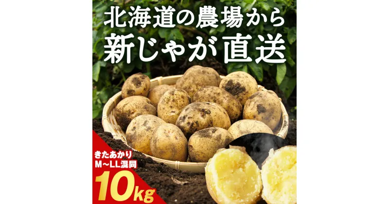 【ふるさと納税】数量限定 期間限定 じゃがいも 10kg 北海道 きたあかり ジャガイモ 芋 いも北海道ふるさと納税 積丹町 ふるさと納税 北海道 新じゃが サイズ混同 野菜 通販 ギフト 贈答品 贈り物