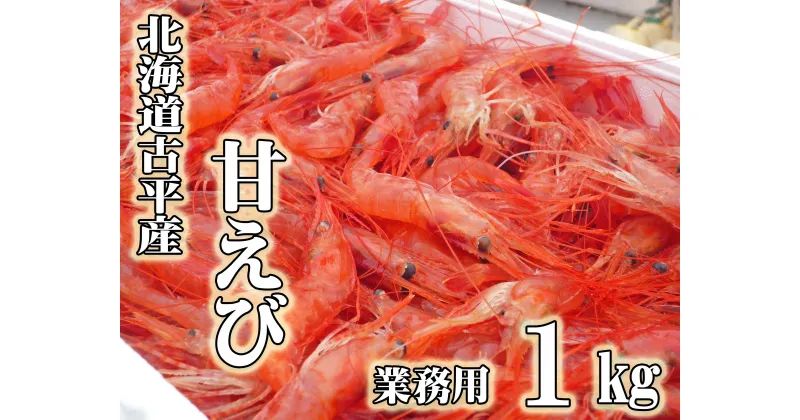 【ふるさと納税】【業務用】北海道古平産 漁師直送！ 甘えび1kg【 えび エビ 海老 蝦 南蛮 南蛮えび 南蛮エビ 甘エビ 甘海老 海鮮 魚介類 魚貝類 魚介 業務用 家庭用 贈答用 人気 ランキング 北海道グルメ 北海道 グルメ ごはんのお供 白米 訳あり 訳アリ 不揃い 】