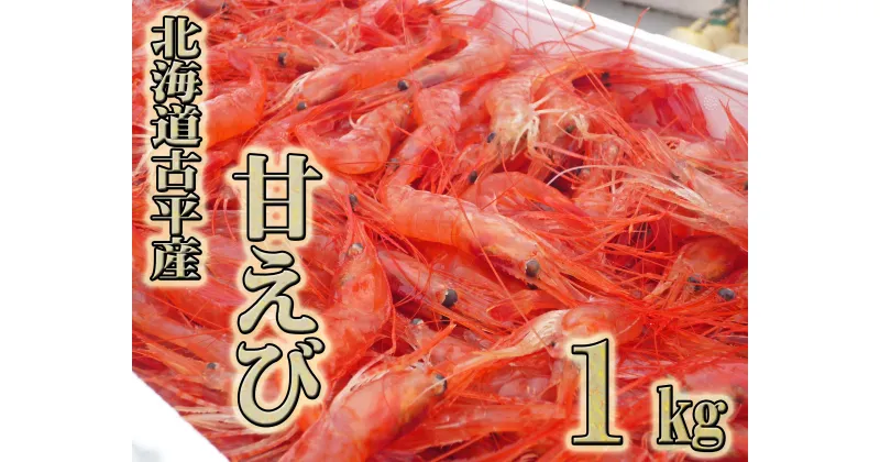 【ふるさと納税】北海道古平産 漁師直送！ 甘えび1kg【 えび エビ 海老 蝦 南蛮 南蛮えび 南蛮エビ 甘エビ 甘海老 海鮮 魚介類 魚貝類 魚介 業務用 家庭用 贈答用 人気 ランキング 北海道グルメ 北海道 グルメ ごはんのお供 白米 】