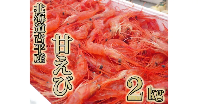 【ふるさと納税】北海道古平産 漁師直送！ 甘えび2kg【 えび エビ 海老 蝦 南蛮 南蛮えび 南蛮エビ 甘エビ 甘海老 海鮮 魚介類 魚貝類 魚介 業務用 家庭用 贈答用 人気 ランキング 北海道グルメ 北海道 グルメ ごはんのお供 白米 】