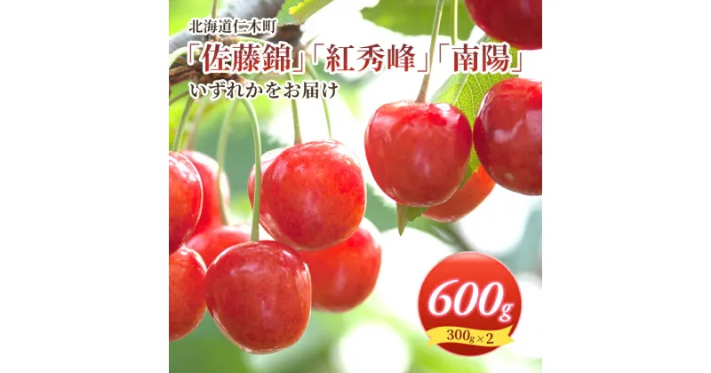 【ふるさと納税】北海道 仁木町産 さくらんぼ L サイズ600g　300g×2 仁木ファーム 果実 フルーツ 名産地 　 さくらんぼ チェリー 果物類 フルーツ 　お届け：2025年7月上旬～下旬頃