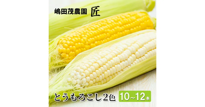 【ふるさと納税】先行受付 北海道 仁木町産 新鮮 とうもろこし 2色セット【10～12本】 嶋田茂農園　野菜・とうもろこし・トウモロコシ・コーン　お届け：2025年8月10日頃～9月下旬