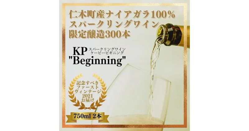 【ふるさと納税】【北海道産ワイン】 限定スパークリングワイン KP”Beginning” 750ml×2本 仁木町産ナイアガラ100%使用 ワイン 白 辛口 スパークリング　お酒・シャンパン・スパークリングワイン・ワイン・辛口