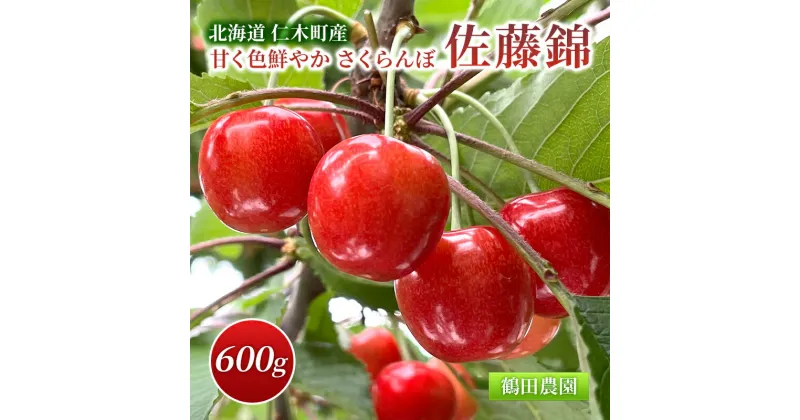 【ふるさと納税】数量限定 北海道 仁木町産 甘く色鮮やか さくらんぼ 佐藤錦 600g 鶴田農園　 果物類 フルーツ さくらんぼ チェリー 低農薬 有機肥料 高級品種 大人気 佐藤錦 高糖度 甘い ジューシー ご褒美 ご贈答用 　お届け：2025年6月下旬～7月下旬