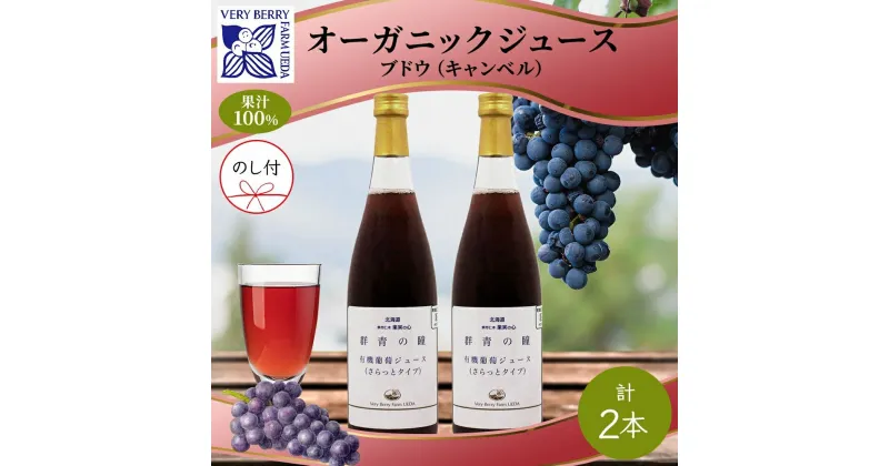 【ふるさと納税】無地熨斗 オーガニック 有機 キャンベル ブドウ ジュース 710ml 2本 セット 群青の瞳 ぶどう 果汁 100％ お取り寄せ ギフト セット 熨斗 のし 北海道 仁木町　仁木町　お届け：2024年2月10日より順次出荷