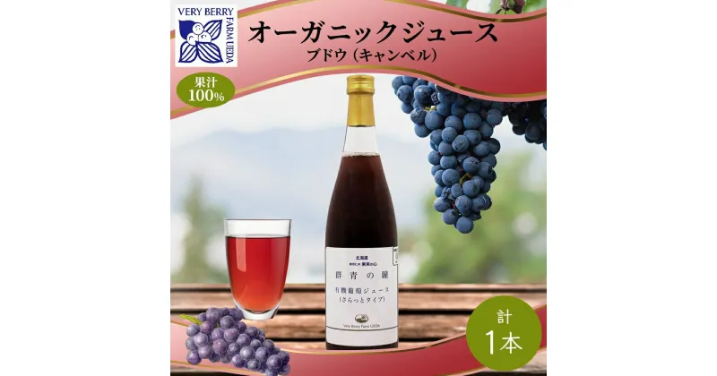 【ふるさと納税】オーガニック 有機 キャンベル ブドウ ジュース 710ml 1本 セット 群青の瞳 ぶどう 果汁 100％ お取り寄せ ギフト セット 新鮮 果汁100％ 北海道 仁木町　仁木町　お届け：2024年2月10日より順次出荷