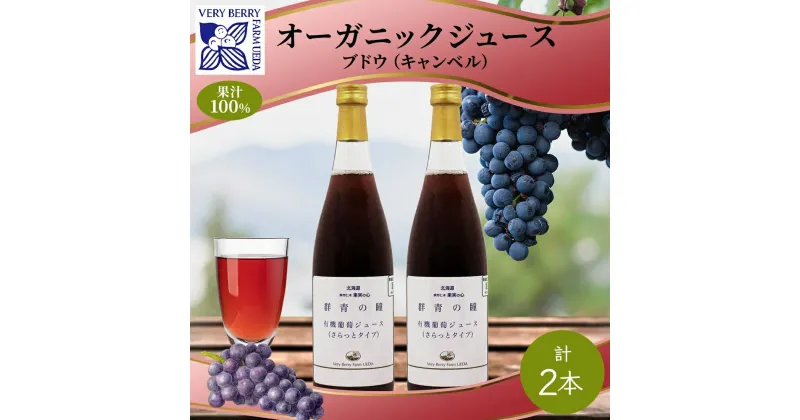 【ふるさと納税】オーガニック 有機 キャンベル ブドウ ジュース 710ml 2本 セット 群青の瞳 ぶどう 果汁 100％ お取り寄せ ギフト セット 新鮮 果汁100% 北海道 仁木町　仁木町　お届け：2024年2月10日より順次出荷