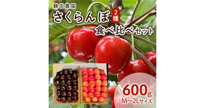 【ふるさと納税】数量限定 北海道 仁木町産 さくらんぼ 2種 食べ比べセット 600g 鶴田農園　 果物 フルーツ チェリー 甘い 高糖度 リピーター 朝採り 大人気 酸味 甘み ジューシー 産地直送 希少 　お届け：2025年6月下旬～7月下旬