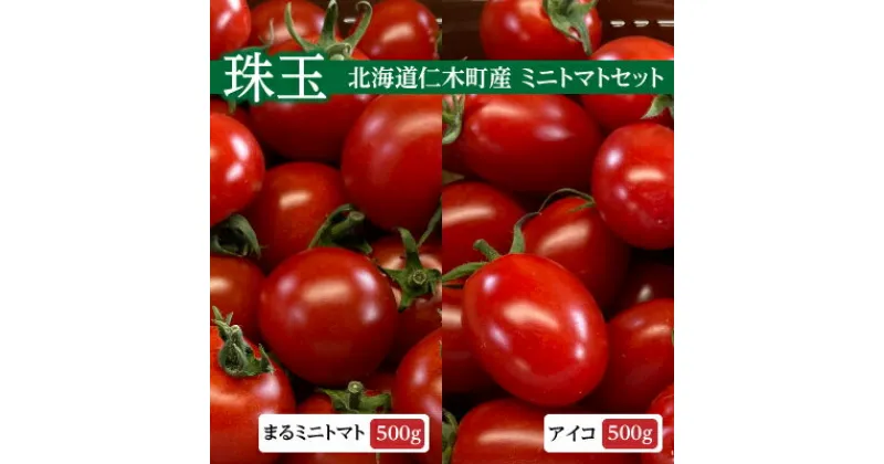 【ふるさと納税】先行受付 北海道 仁木町 【珠玉】まる ミニトマト 500g & アイコ 500g 　 野菜 生野菜 緑黄色野菜 サラダ 付け合わせ ほのかな酸味 旨味 糖度8度以上 旬の野菜 食材 国産 北海道産 　お届け：2025年6月中旬～10月中旬