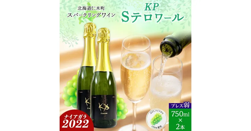 【ふるさと納税】北海道産 スパークリング ワイン 750ml 2本 KPワイン Sテロワール ぶどう ナイアガラ 葡萄 ブドウ 白ワイン 辛口 酒 お酒 贈答 贈り物 お祝い ギフト 記念日 送料無料　仁木町　お届け：2024年3月中旬より順次出荷