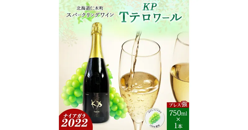 【ふるさと納税】北海道産 スパークリング ワイン 750ml 1本 KPワイン Tテロワール ぶどう ナイアガラ 葡萄 ブドウ 白ワイン 辛口 酒 お酒 贈答 贈り物 お祝い ギフト 記念日 送料無料　仁木町　お届け：2024年3月中旬より順次出荷