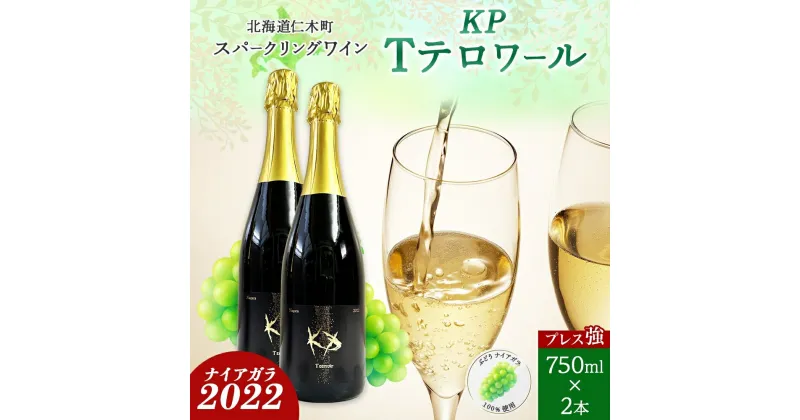 【ふるさと納税】北海道産 スパークリング ワイン 750ml 2本 KPワイン Tテロワール ぶどう ナイアガラ 葡萄 ブドウ 白ワイン 辛口 酒 お酒 贈答 贈り物 お祝い ギフト 記念日 送料無料　仁木町　お届け：2024年3月中旬より順次出荷